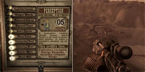 (You need explosives 75 to get it "50 for all weapons that deal fire damage or set enemy on. . Best fallout new vegas builds